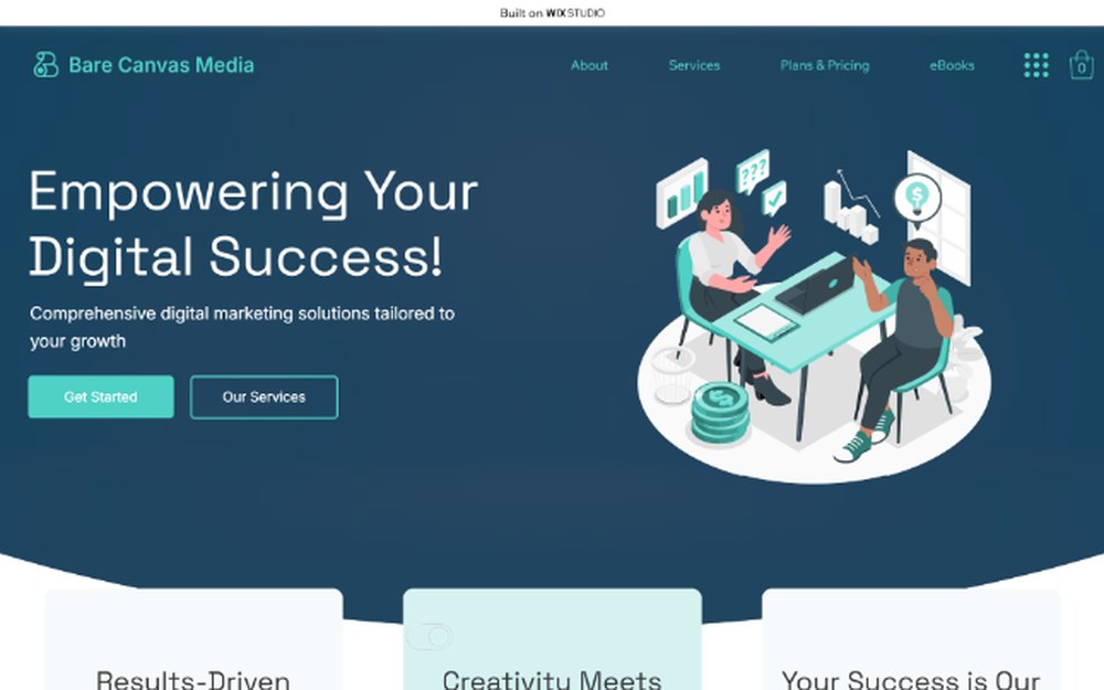 Bare Canvas Media website